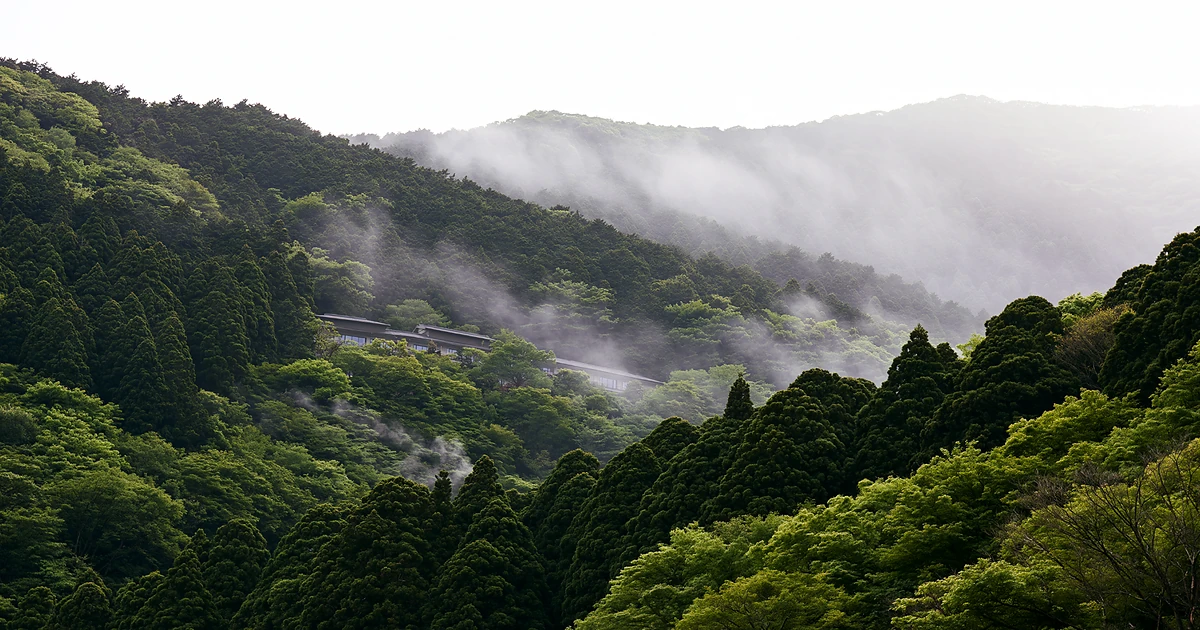 Misty green mountains in Hakone, Japan, evoking a quiet luxury onsen ryokan stay near Tokyo.